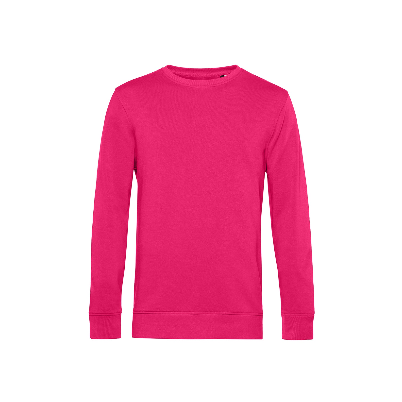 pull rose fushia